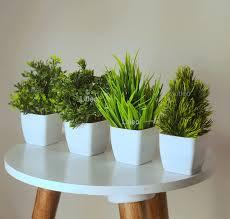 Home mini decorative plant